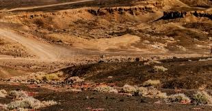 颜骏凌：和范德萨交换了联系方式，在儿时偶像面前踢球是圆梦